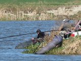 IMG_3195.JPG