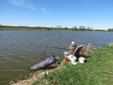 IMG_3246.JPG